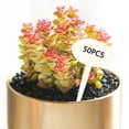 thumbnail image 4 of 50 Uds., Etiquetas para plantas, etiquetas en apariencia de T, etiquetas para letreros de plantas, para macetas de jardín para las, hierbas Oval DYNWAVEMX Etiqueta de plantas, 4 of 8