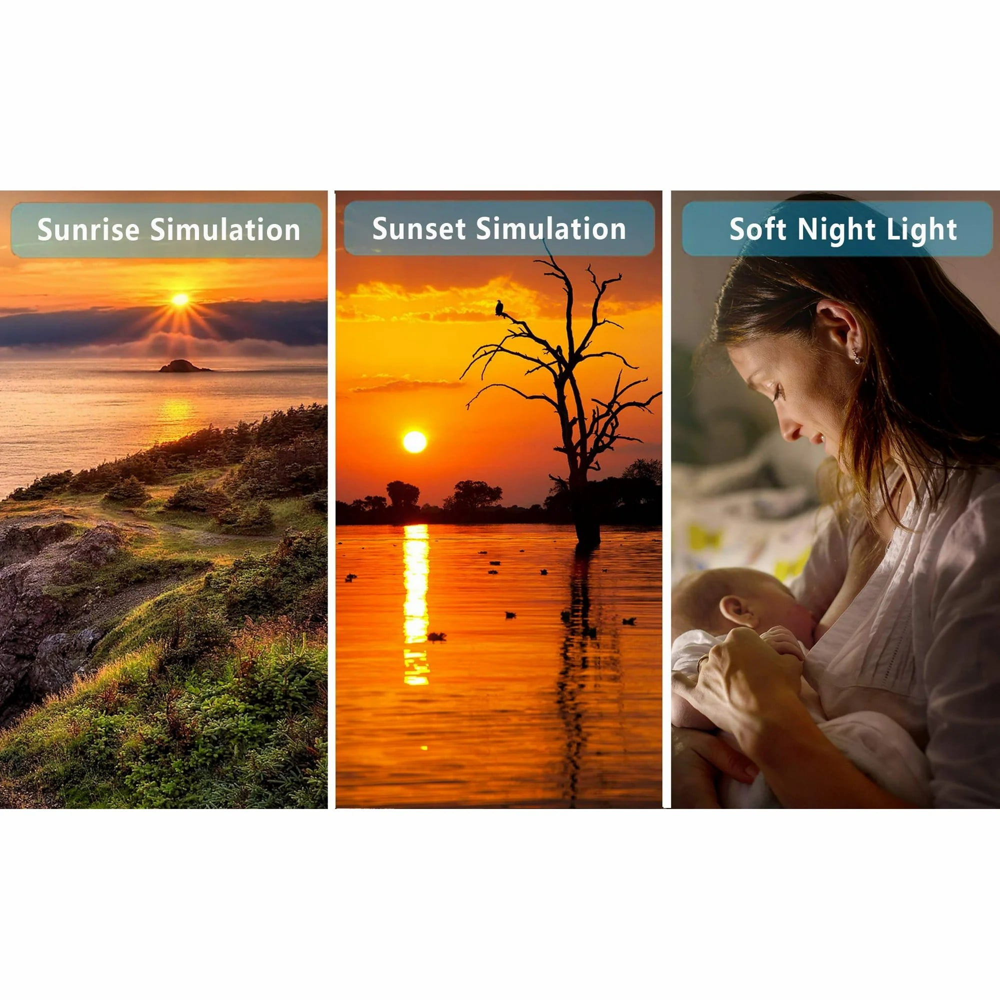 Wake Up Light Sunrise Alarm Clock ,Heavy Sleepers,Bedroom,with Sunrise Simulation,Sleep Aid,Snooze, Nightlight,Daylight,7 Colors,7 Natural Sounds,Ideal Gift
