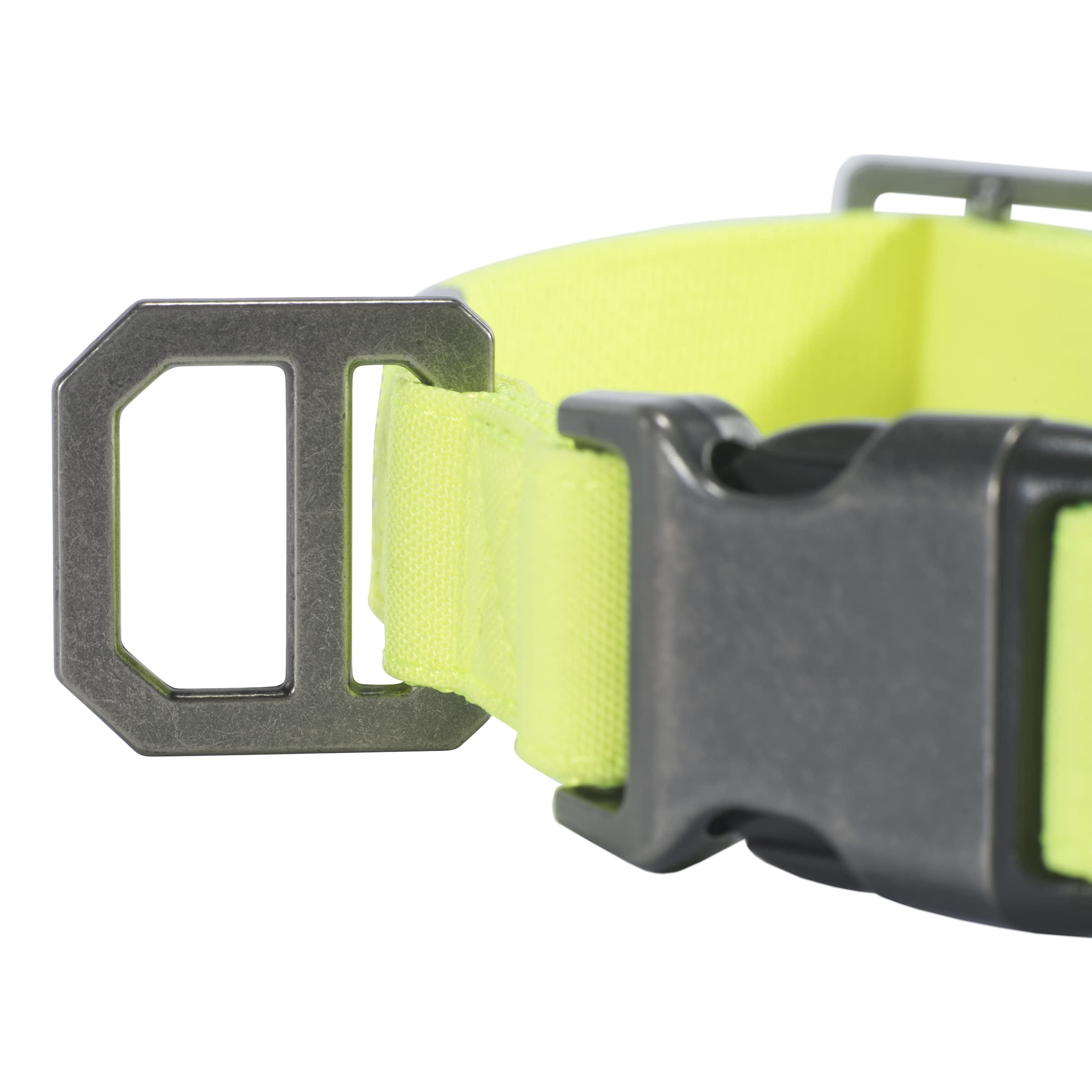 Carhartt Nylon Duck Dog Collar, Fully Adjustable Durable 2-Ply Cordura Nylon Canvas Collars for Dogs, Brite Lime, Large