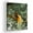 Birds Of Paradise, variant on Rising Pheonix Canvas Wall Art by Mavis Print- 12X16 inches Bird Wall Decor | HD Printed & Wooden framed wall art | Modern Wall Decor for Gift | Made in USA