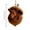 B, variant on Forest Animal Acorn Ornaments 3D, Detailed Woodland Creature Figurines in Acorn Shell, Shatterproof Resin Christmas Tree Ornaments, Unique Animal Lover Gift Idea, Christmas Decor Set, A