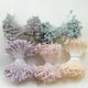 thumbnail image 4 of 720 PCS Cabezas Dobles Estambre Artificial Estambre Pistilo para Decoración 6 Cm, 4 of 9