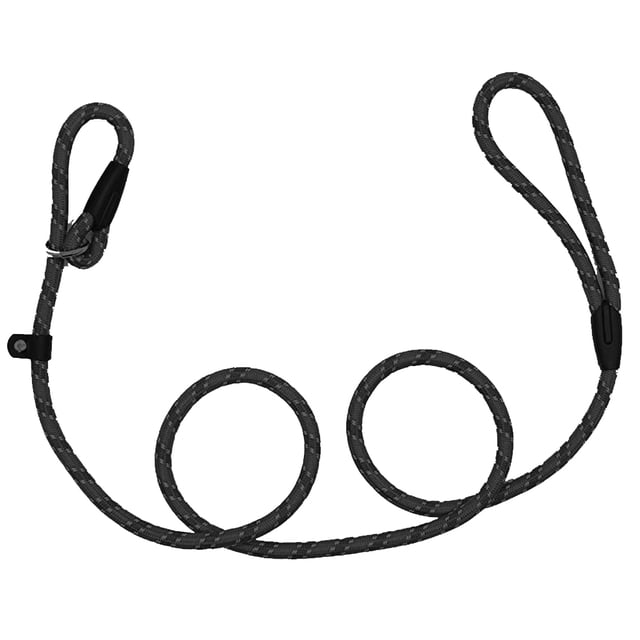 Dog Leash, Pet Slip Lead, Dog Training Leash for Small & Medium Dogs