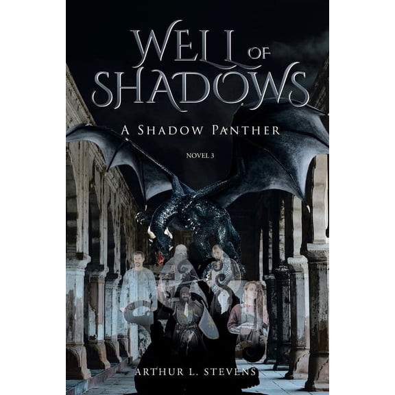 Well of Shadows: A Shadow Panther Novel 3, (Paperback)