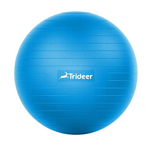 Trideer Exercise Ball 45-85cm Extra Thick Yoga Ball Chair Heavy Duty Stabilit...