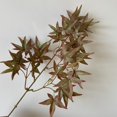thumbnail image 5 of Artificial Maple Branch Autumn Leaves Fall Maple Stem For Home Kitchen Christmas Festival Thanksgiving Autumns Decoration, 5 of 5