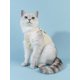 thumbnail image 3 of PETSIN 1pc Cartoon Bear Print Pet Tank For Dog And Cat For Summer, 3 of 5