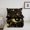 Black Gloden, variant on Erosebridal Sun Moon Bedding Queen Comforter Set,Boho Leaves Down Comforter,Mysterious Black And Gold Bedding Sets Queen With Comforter, Breathable Room Decoration,3 Pieces Reversible