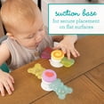 thumbnail image 6 of Infantino Sweet Treat Spinners Baby Soft Teether, Sensory Toy with Suction Base, and Spinning Action, Unisex Babies, 6 of 12