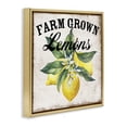 thumbnail image 3 of Stupell Industries Rustic Lodge Farm Grown Lemons Gold Floating Frame Canvas Art, 18 x 18, by Creatif Belle, 3 of 8
