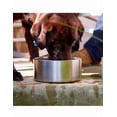 thumbnail image 4 of XtellarTazón De Acero Inoxidable Para Perro 35 Onzas Color Plateado, 4 of 5