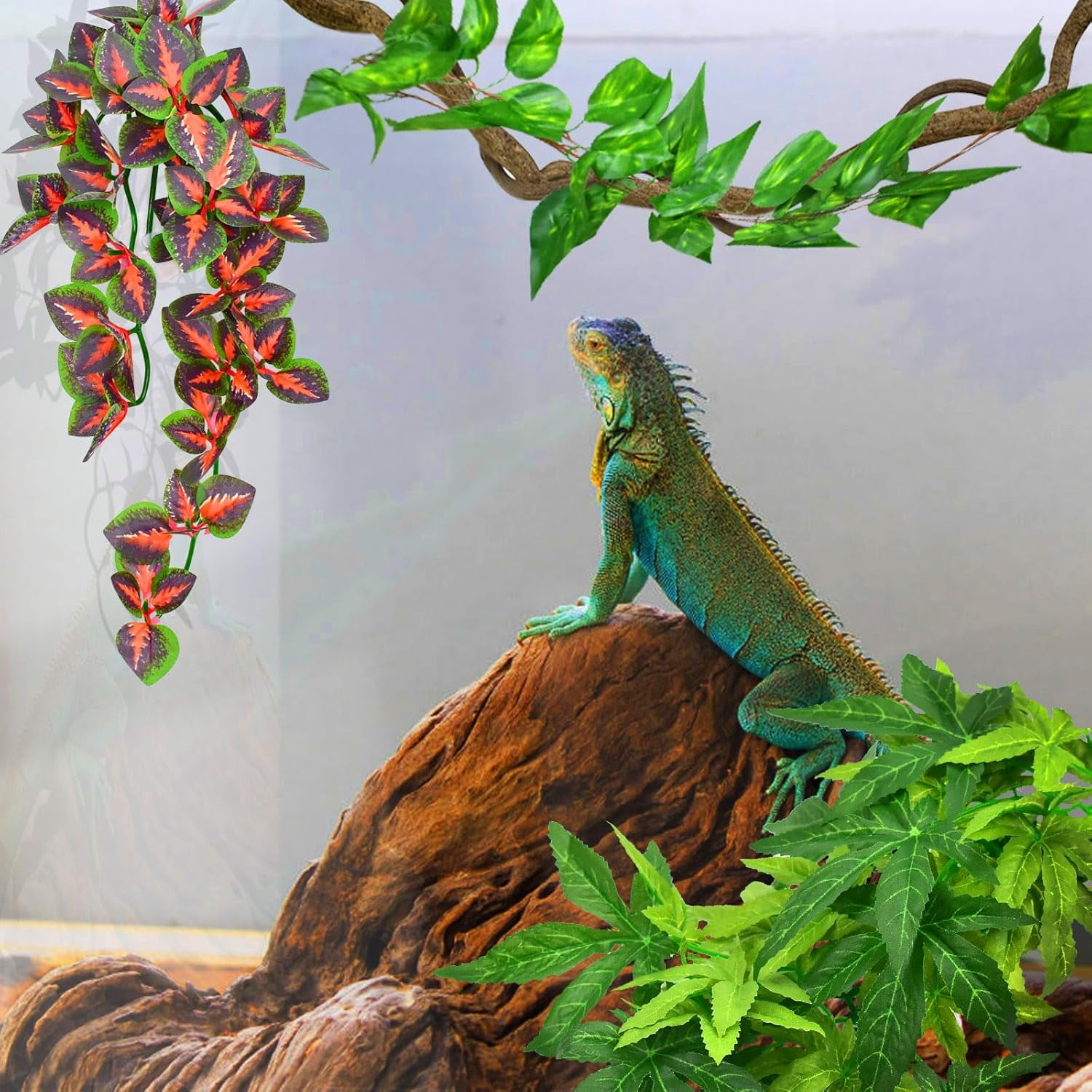 Reptile Plants, Amphibian Hanging Plants with Suction Cup for Snake, Bearded Dragons, Lizards, Geckos, Toads, Hermit Crab Tank Habitat Decorations