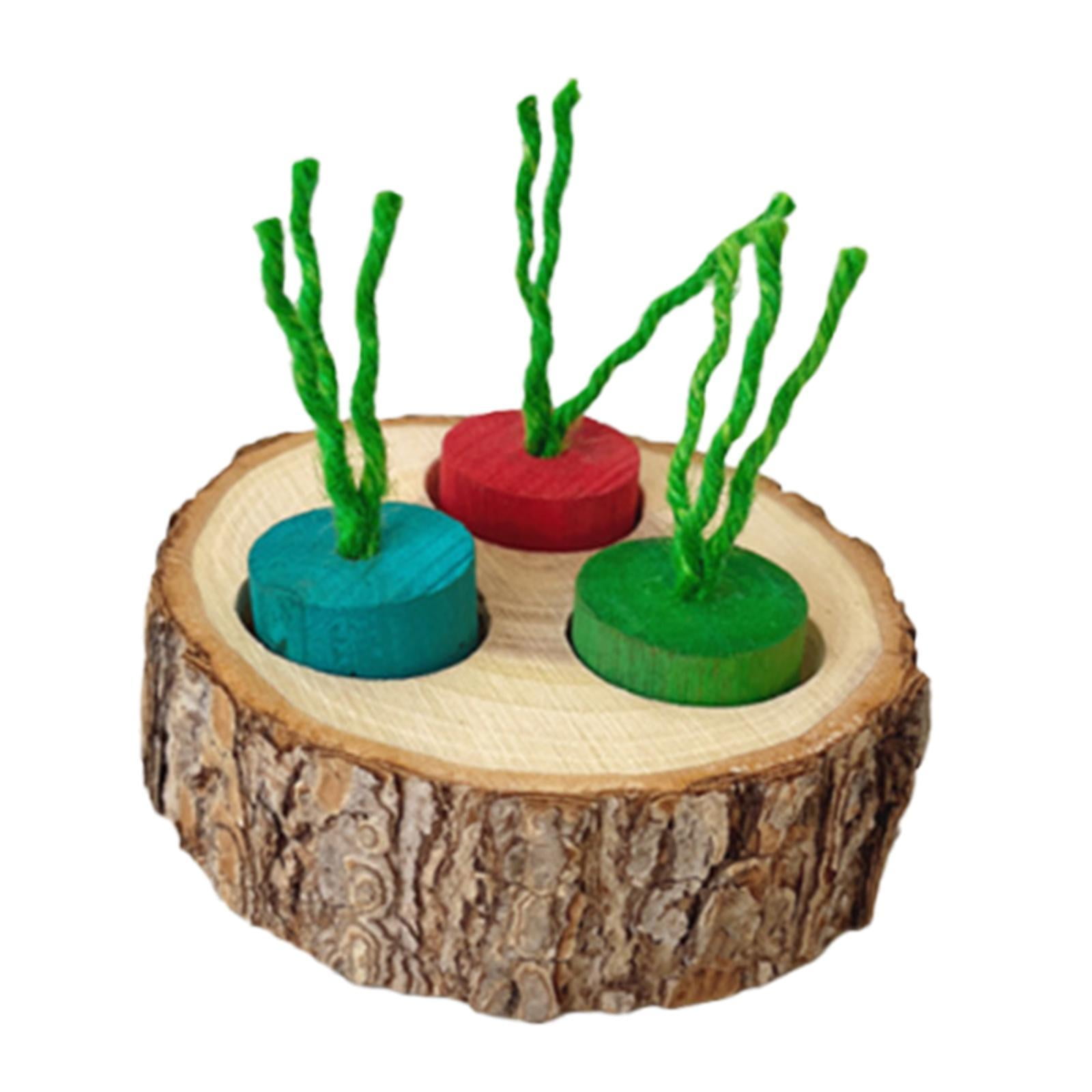 yotijay Foraging Feeder Toy Puzzle Feeder Treats Dispenser for Rat s Chinchilla colorful