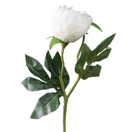 1 Branch Faux Silk Flower No-watering Fresh-keeping 2 Heads Real Looking Fake Peony Floral Stems Party Decor White Faux Si Description: Besides as the excellent scenery for indoor and outdoor landscape  the faux silk peony flower with nice-looking appearance has features of beautiful  weather-resistant and fresh-keeping. For a DIY flower arrangement  you can feel free to mix the realistic faux silk peony flower with other bouquets. Made of faux silk flower  it is wear-resistant and durable. The total length of the artificial flower is 48cm and the diameter of the flower head is 7cm. It is perfect for decorating living room  bedroom  balcony  cafe  hotel  holidays  party  etc. Item Name: Artificial Flower Material: Faux Silk Flower Features: Elegant  Artificial  Vivid Size Details: Total Length: 48cm/18.9  (Approx.) Flower Head Diameter: 7cm/2.76  (Approx.) Package Includes: 1 Branch of Artificial Flower