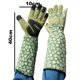 thumbnail image 2 of Guantes largos de jardinería para mujer, guantes para cortar rosas con protección para el antebrazo, resistentes a las espinas MFZFUKR CPB-US-DYP647-6, 2 of 5
