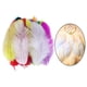 thumbnail image 3 of Cateissary Paquete de 100 delicadas plumas sueltas de satén de pollo para manualidades y bodas Kits de decoración para fiestas Color mezclado 5-10cm, 3 of 6