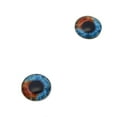 thumbnail image 3 of Heterochromia Dual Blue and Brown Human Glass Eyes, 3 of 11