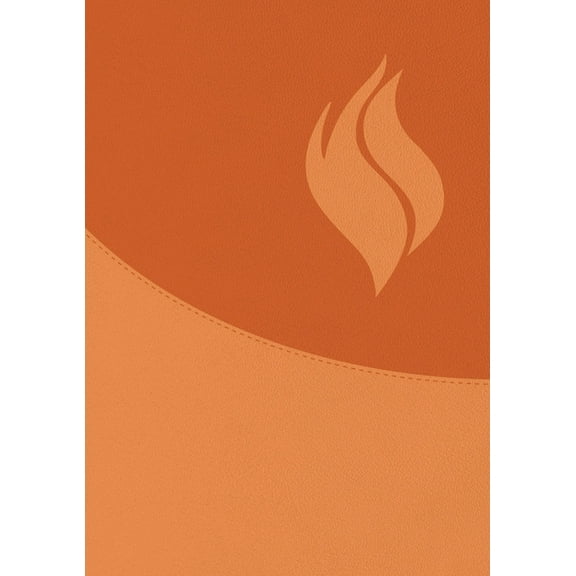 Biblia de Estudio Vida Plena - Ampliada Y Actualizada (ImitaciÃ³n Piel MarrÃ³n) / Full Life Study Bible - Expanded and Upd, (Hardcover)