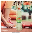 thumbnail image 4 of Agua infusionada Bonafont Levité toque de sabor pepino limón 1 l, 4 of 5