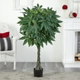 thumbnail image 4 of Nearly Natural 51in. Artificial Braided Money Tree, 4 of 4