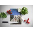 thumbnail image 2 of Carolines Treasures PPP3122LCB Westie Moonlight Stroll Glass Cutting Board - Large, 2 of 2