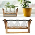 thumbnail image 4 of Terrario De Plantas Con Soporte De Madera, Decoración De Escritorio Para Sala De Estar, Florero Transparente, Macetero Con Marco De Madera, Contenedor Para, 4 of 7
