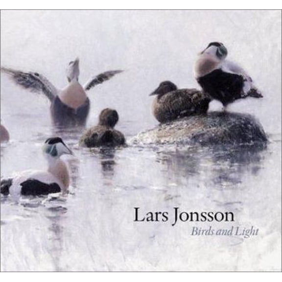Pre-Owned Birds and Light (Hardcover) 0691114897 9780691114897