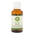 thumbnail image 1 of R V Essential Pure Coffee Essential Oil 5ml (0.169oz)- Coffea Arabica (100% Pure and Natural Steam Distilled), 1 of 2