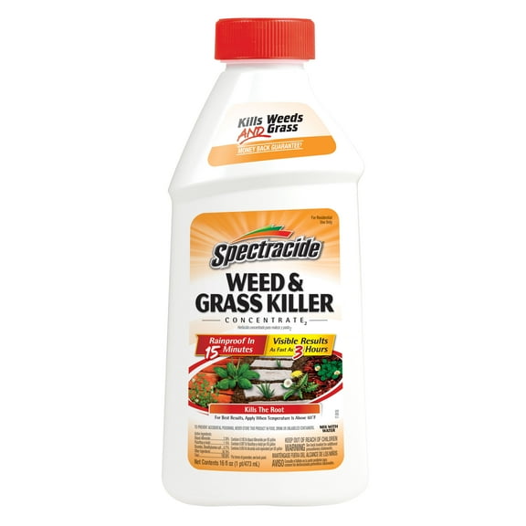 Spectracide Weed and Grass Killer Concentrate, 16 Ounces