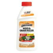 Spectracide Weed and Grass Killer Concentrate, 16 Ounces