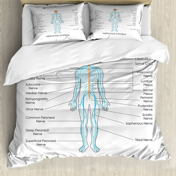 Ambesonne Anatomy Duvet Cover Set, Nervous System, Calking, Pastel Brown Blue and White