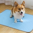 thumbnail image 3 of Almohadilla absorbente de agua lavable Desiderio Almohadilla uretral para perros Almohadilla para orinar para mascotas, 3 of 5