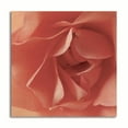 thumbnail image 1 of Gango Home Decor Contemporary Coral Rose Close-Up I by Monika Burkhart (Printed on Paper); One 16x16in Fine Art Paper Giclee Print, 1 of 4