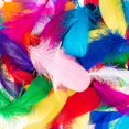 thumbnail image 1 of 100 piezas de plumas de ganso de colores naturales a granel 4-6 pulgadas (10-15 cm) para decoraciones de cupcakes, arte de bricolaje y atrapasueños, 1 of 5