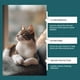 thumbnail image 5 of Repelente para Mascotas En Aerosol 100 Ml | Ingredientes Botánicos Naturales | Spray para Entrenar a Los Gatos En Muebles y Sofás | Evita Que Los Gatos Arañen | Fomenta Buenos Hábitos | Botella Portá, 5 of 7