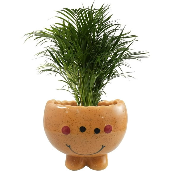 India Meets India Handicraft Ceramic Flower Pots Ceramic Planter Plant Pots Indoor Outdoor Planter, Best Gifting, Made by Awarded Indian Artisans