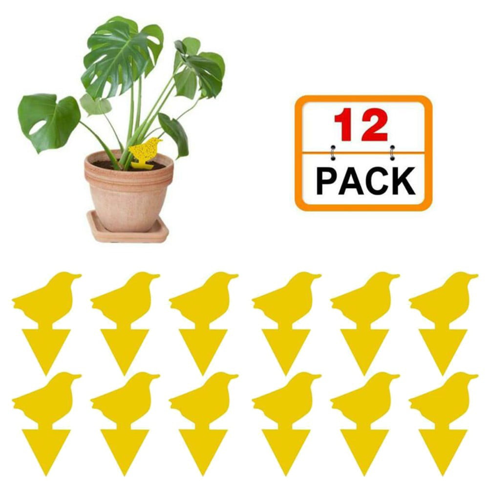Sticky Traps Glue Paper Mosquitoes Catcher For Fly Insect Trap Potted Plants 
