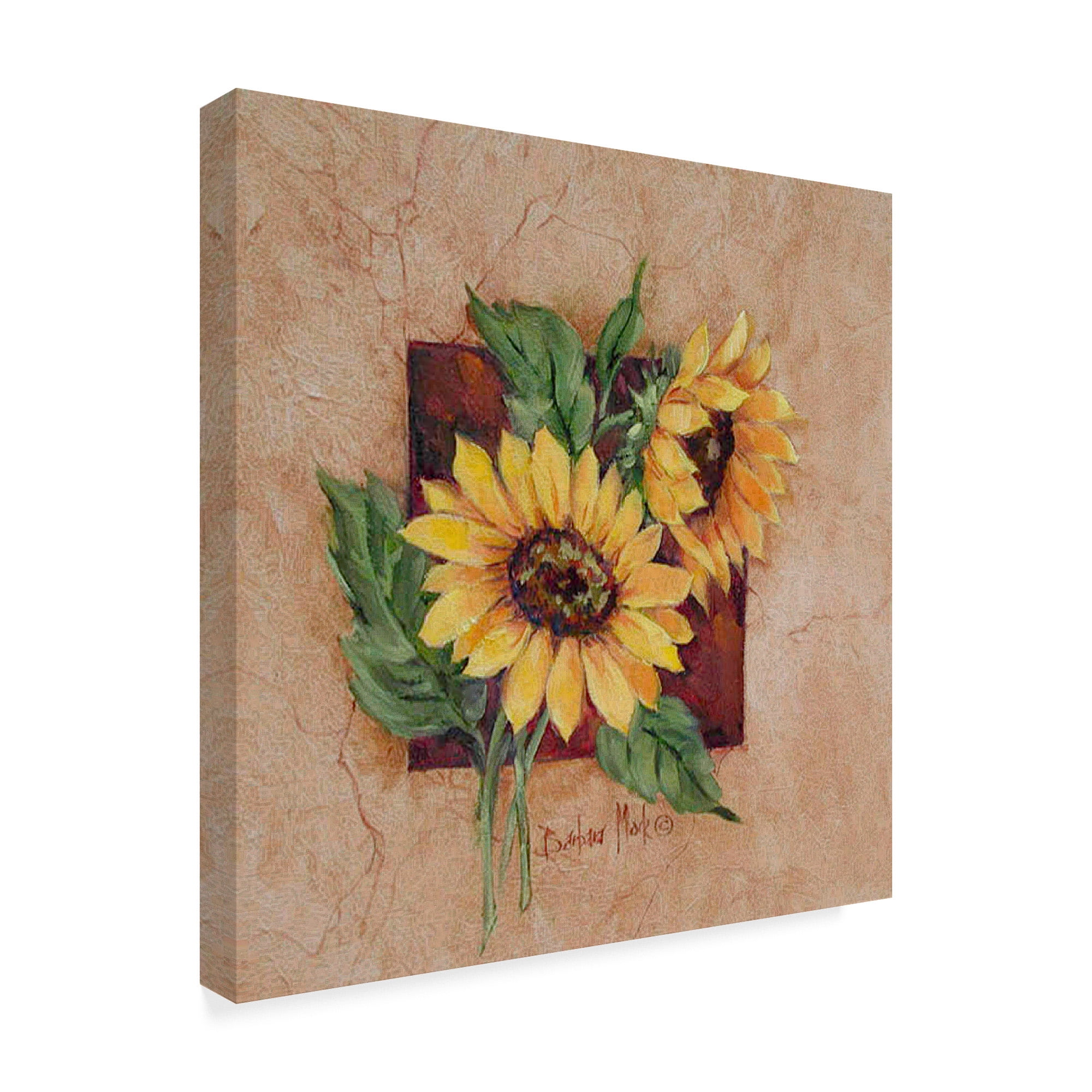 Trademark Fine Art ' Sunflower Square' Canvas Art by Barbara Mock