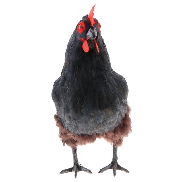 Lifesize Chicken Farm Animals with Feathers Model Figurines for Prop or