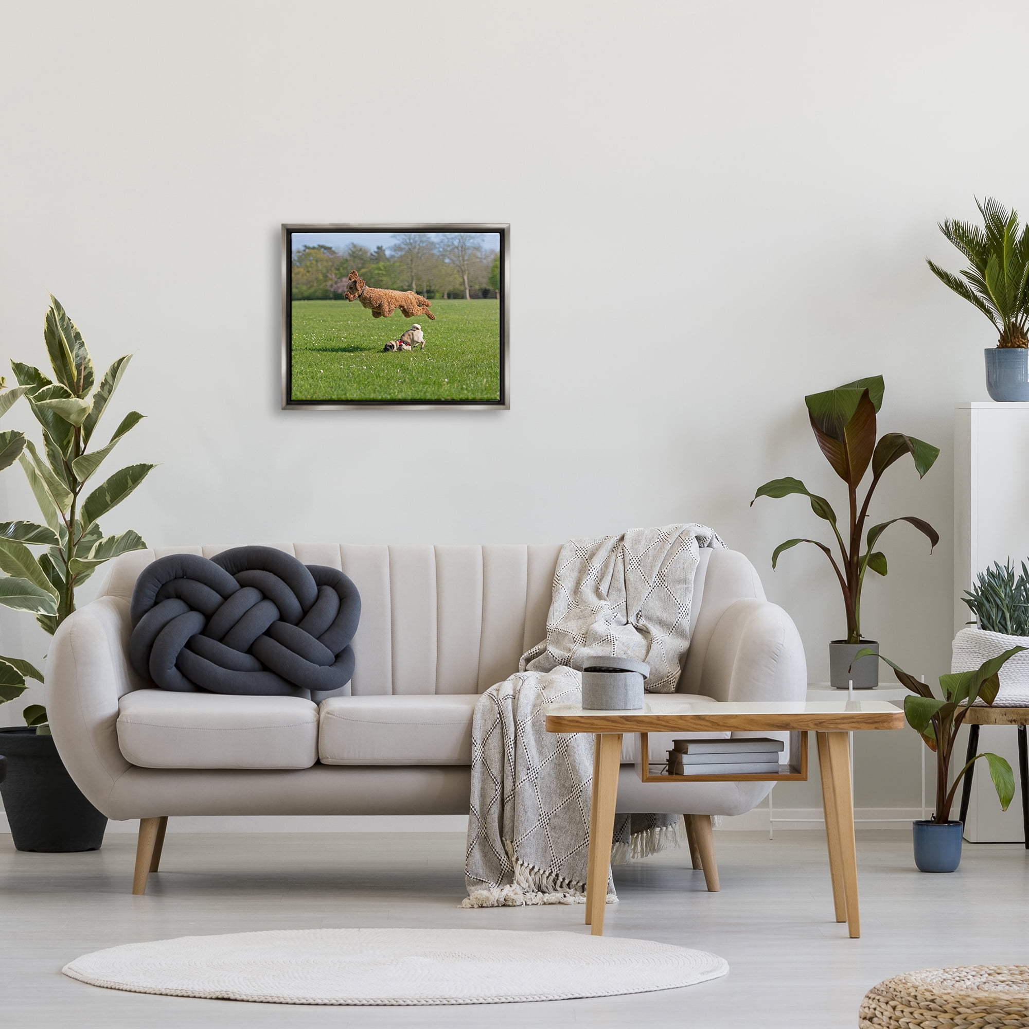 Stupell Industries Jumping Dogs in Field Animals & Insects Photography Gray Floater Framed Canvas Art Print Wall Art, 21 x 17