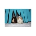 thumbnail image 5 of Hamster Cage Hanging Bed Nest Guinea Pig Hideout Hideaway Cage Rabbits Pets, 5 of 6