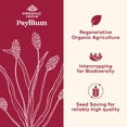 thumbnail image 2 of Suplemento de fibra ORGANIC INDIA en polvo de cáscara de psyllium entera 350 ml, 2 of 6