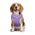 thumbnail image 3 of Pechera Arnés Con Correa Para Perro Talla XS Belug Morado, 3 of 5