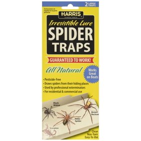 Terro Spider Killer Walmart Com Walmart Com
