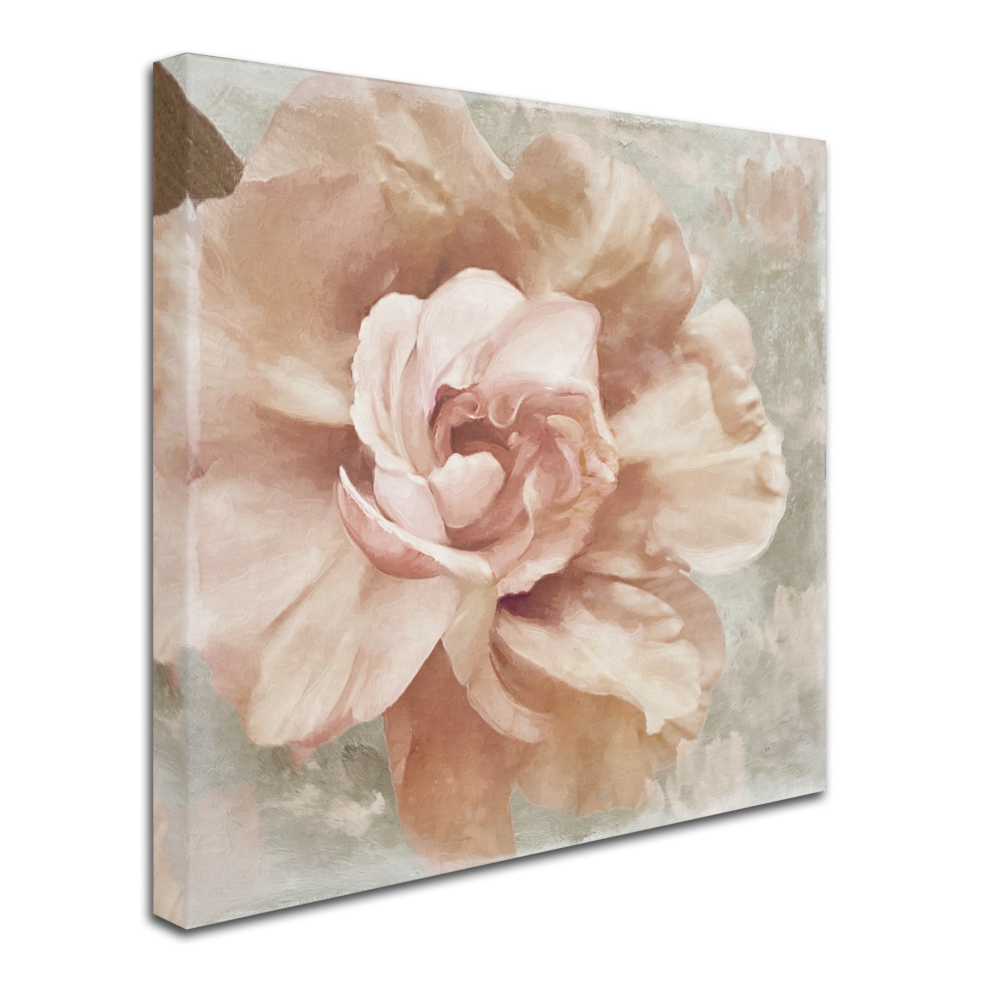 Trademark Fine Art "Petals Impasto I" Canvas Art by Color Bakery