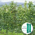 thumbnail image 3 of 4x10m Green Garden Bird Netting for Plants, Fruits, Flowers and Greenery Protection, 15mm Mesh, 3 of 7