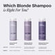 thumbnail image 3 of Paul Mitchell Platinum Blonde Champú Violeta, Elimina Tonos Cobrizos + Ilumina, Ideal Para Cabello Rubio Claro a Medio, Plateado, Gris o Blanco,, 3 of 8