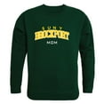 thumbnail image 1 of W Republic 564-271-FOR-04 Chandail en Molleton Col Rond en Molleton pour Femmes de l'Université de Brockport Mom, Vert Forêt - Extra Large, 1 of 1