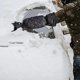 thumbnail image 5 of Pala de nieve con removedor de guantes, herramienta de limpieza, anticongelante, resistente para camión, SUV, coche, negro Zulema Pala de nieve, 5 of 8