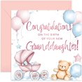 thumbnail image 1 of Tarjeta de felicitación de felicitación por su nueva nieta, 1 of 7